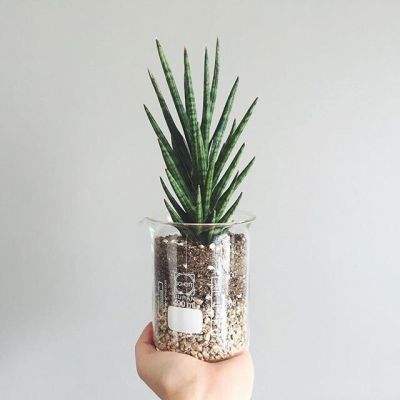 购彩中心welcome入口官方版手机app下载