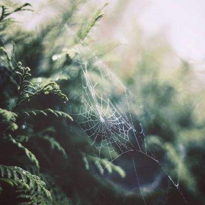 快3平台官网网站