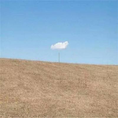 kaiyun体育官方网站全子站入口