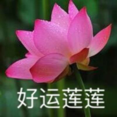 新宝手机版APP